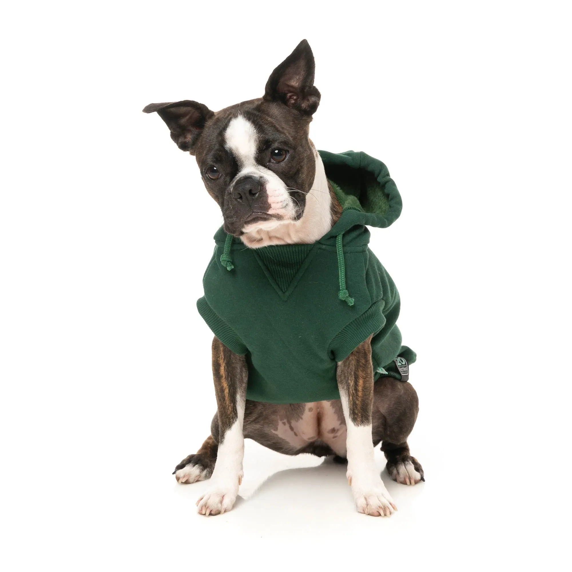 FuzzYard Dog Apparel Treats Hoodie Green Size 2 XSmall***