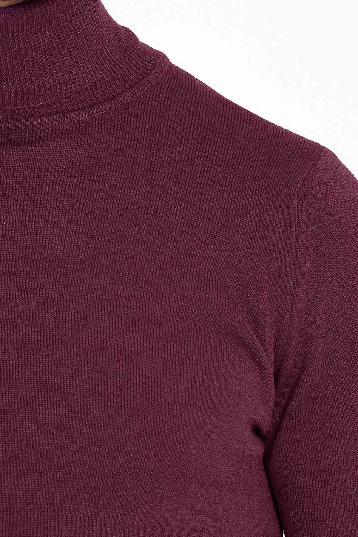 Regular Fit Basic Plain Plum Turtleneck Sweater