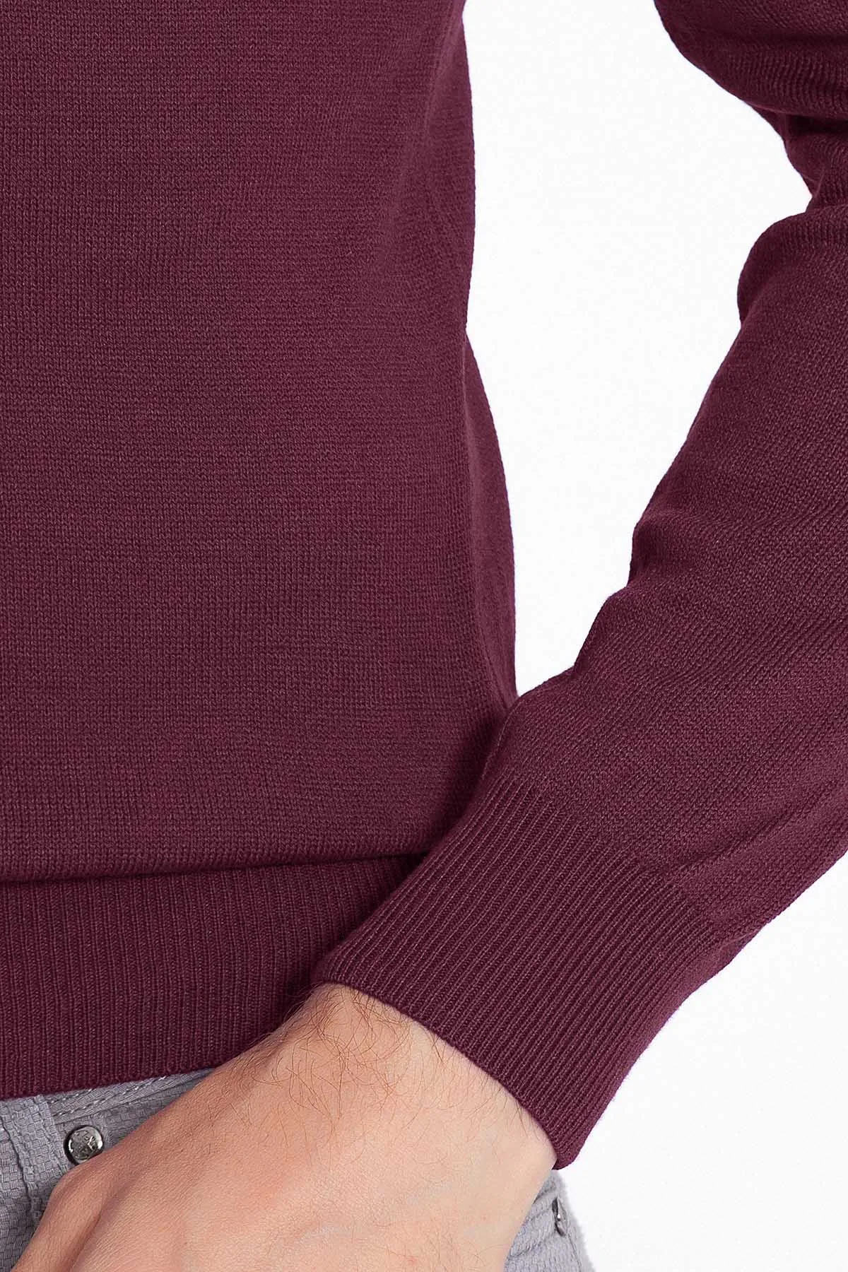 Regular Fit Basic Plain Plum Turtleneck Sweater