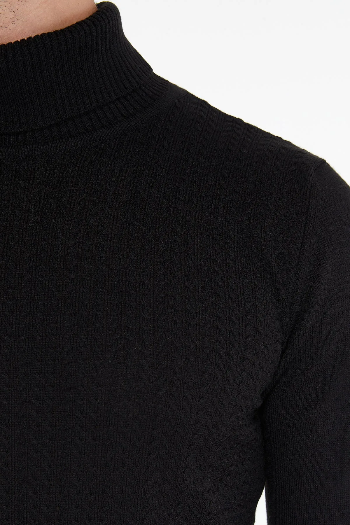 Regular Fit Black Turtleneck Sweater