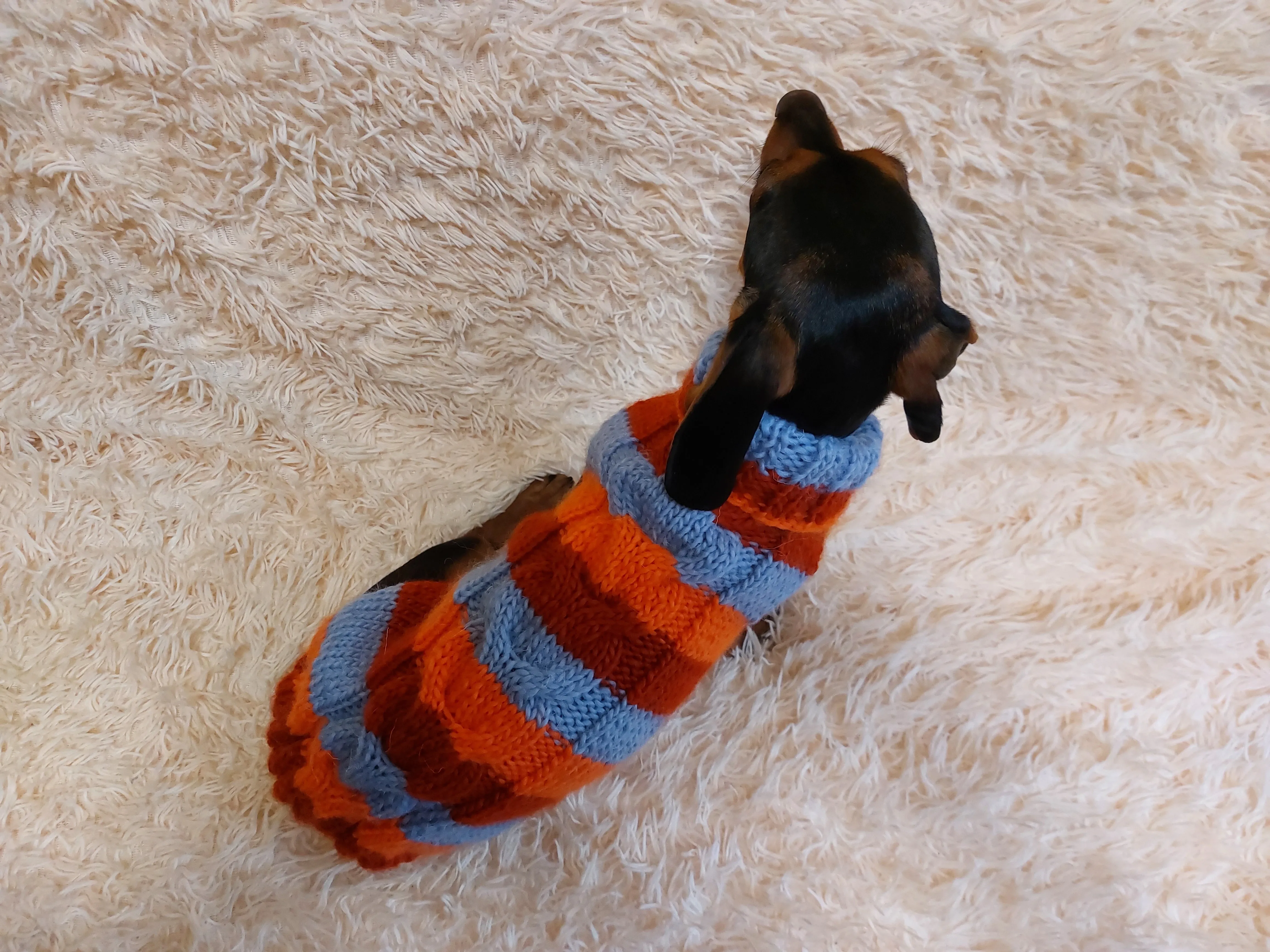 Striped wool winter clothes for animals, jumper with stripes for dogs