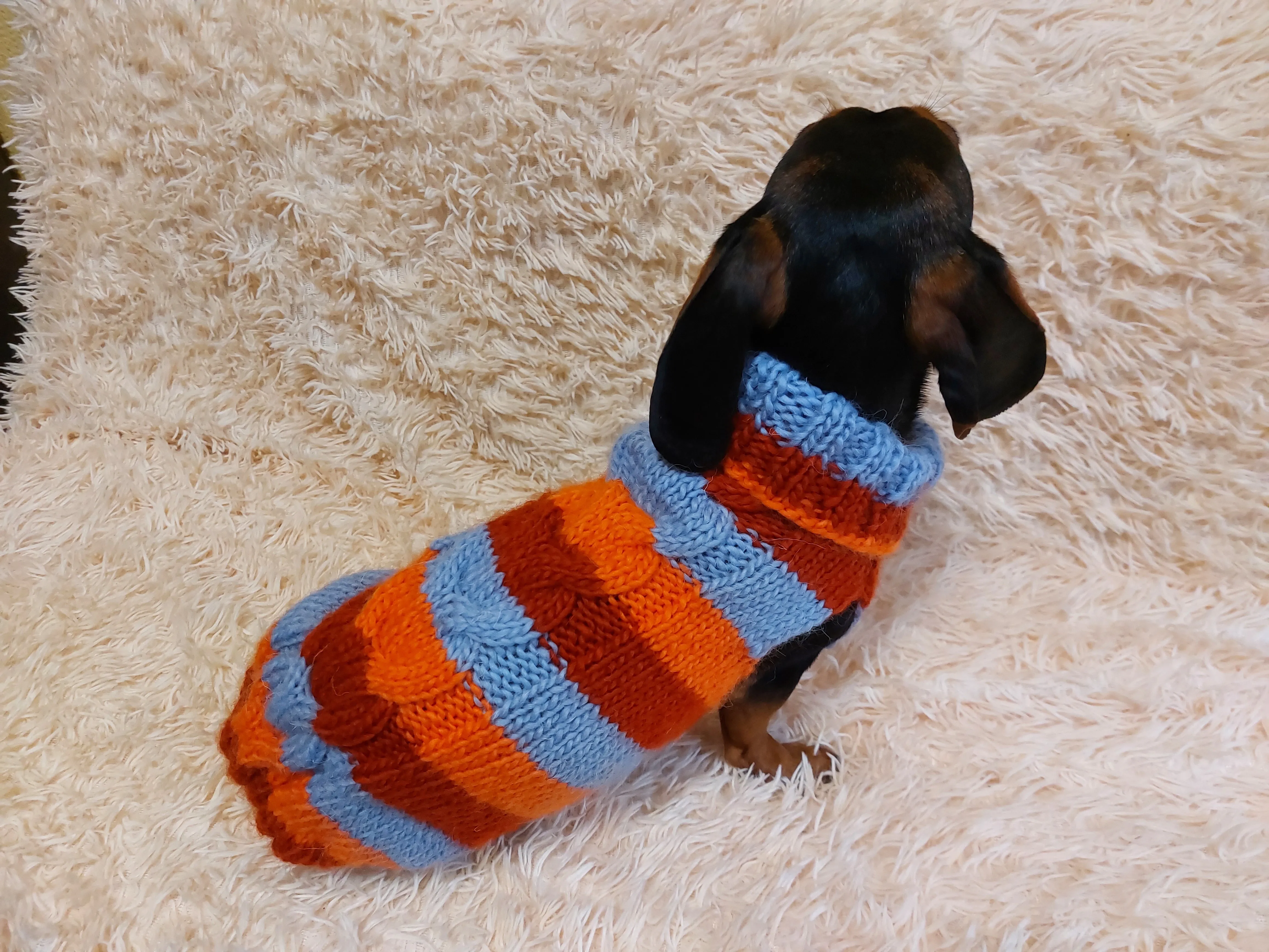 Striped wool winter clothes for animals, jumper with stripes for dogs